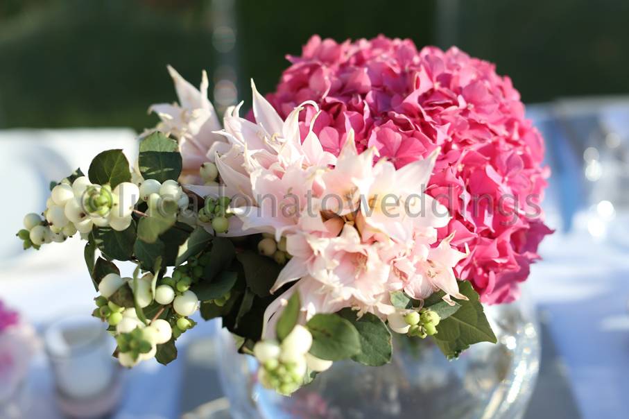Lucadonatoweddings