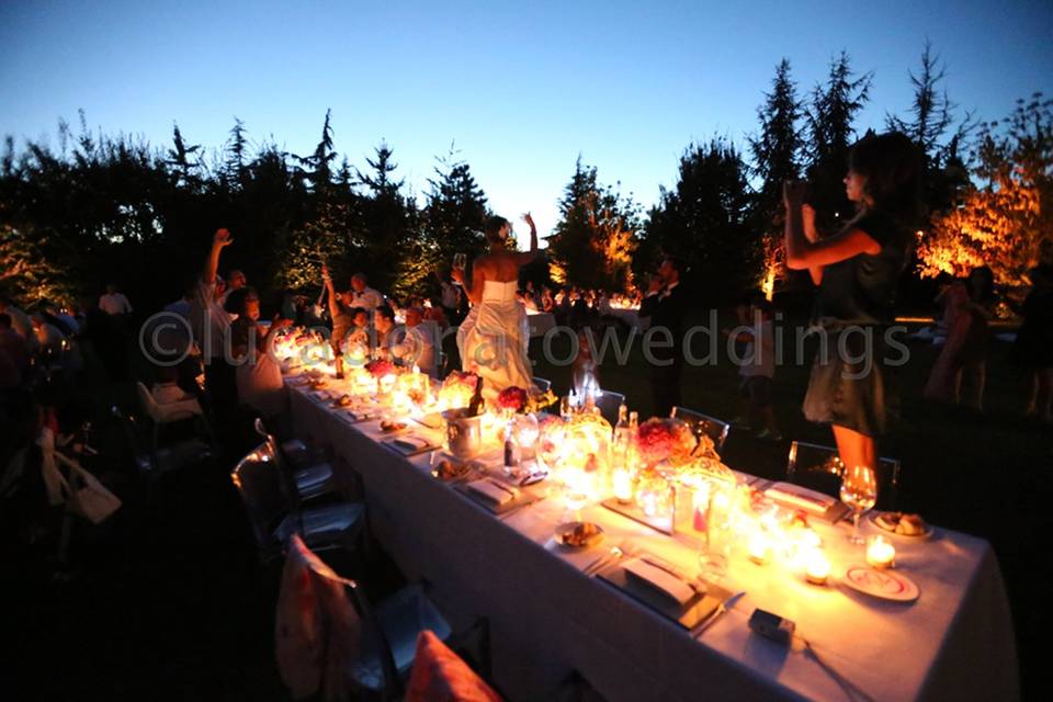 Lucadonatoweddings