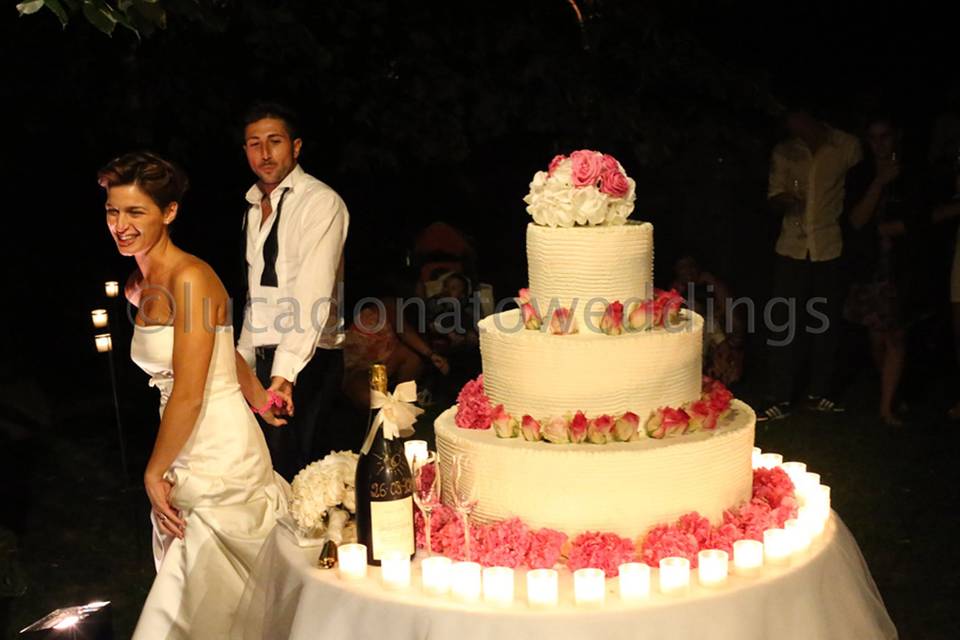 Lucadonatoweddings