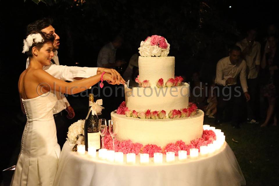 Lucadonatoweddings