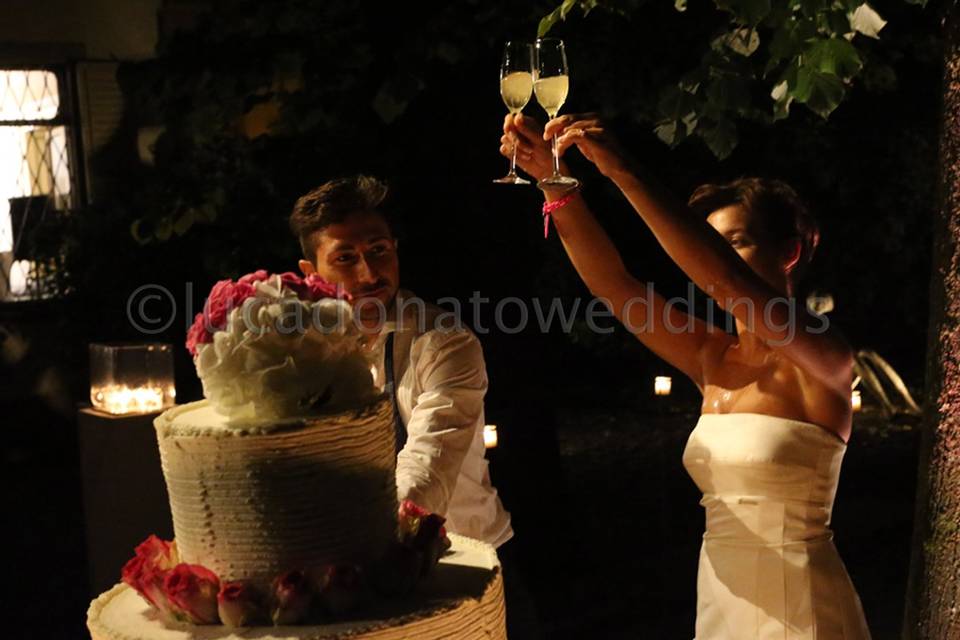 Lucadonatoweddings