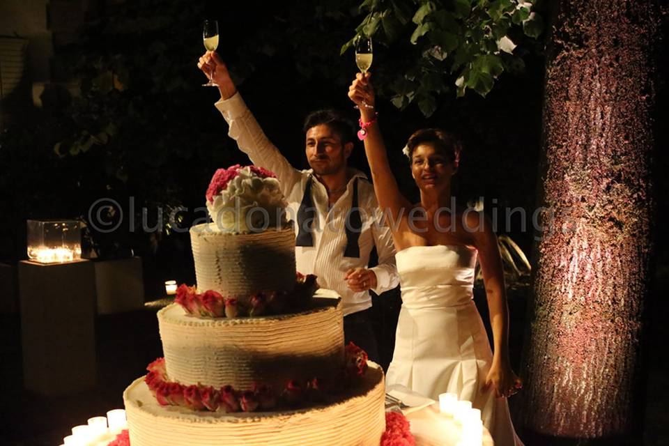 Lucadonatoweddings