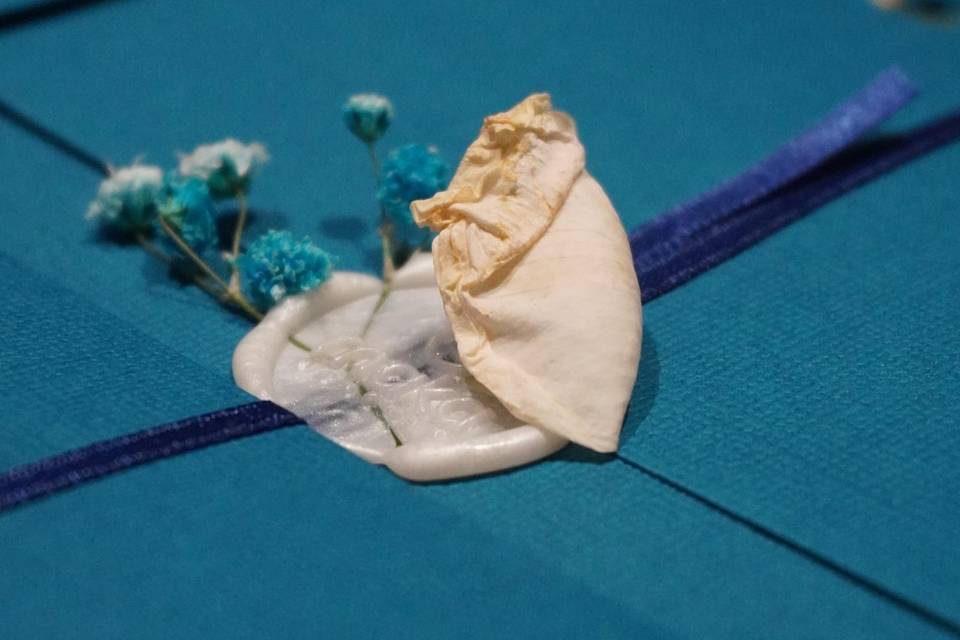 Ringraziamento S&M