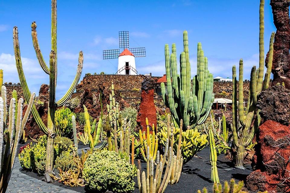 Lanzarote