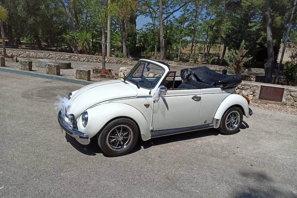 Maggiolino cabriolet