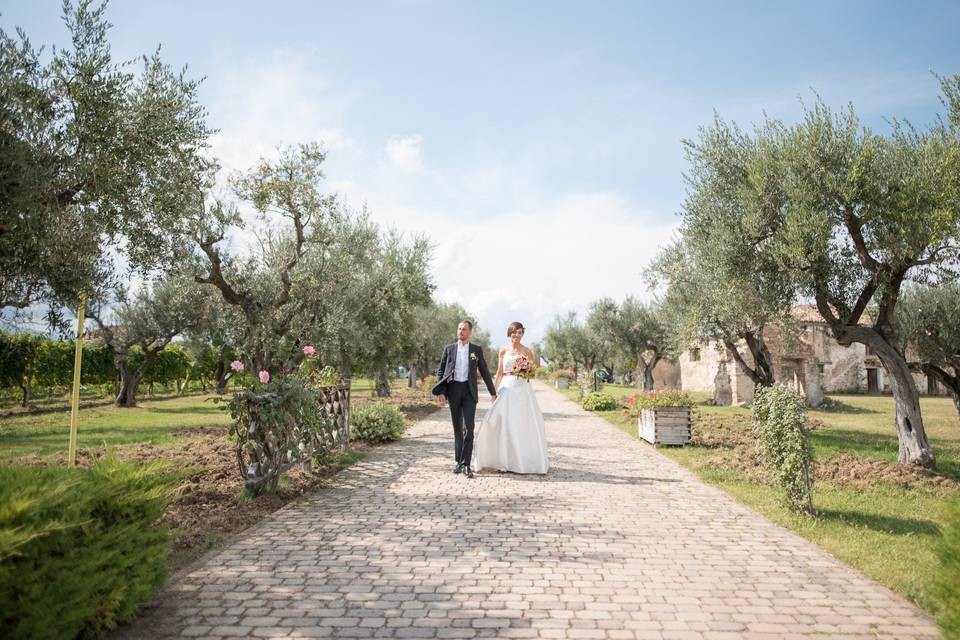 Matrimonio in cantina