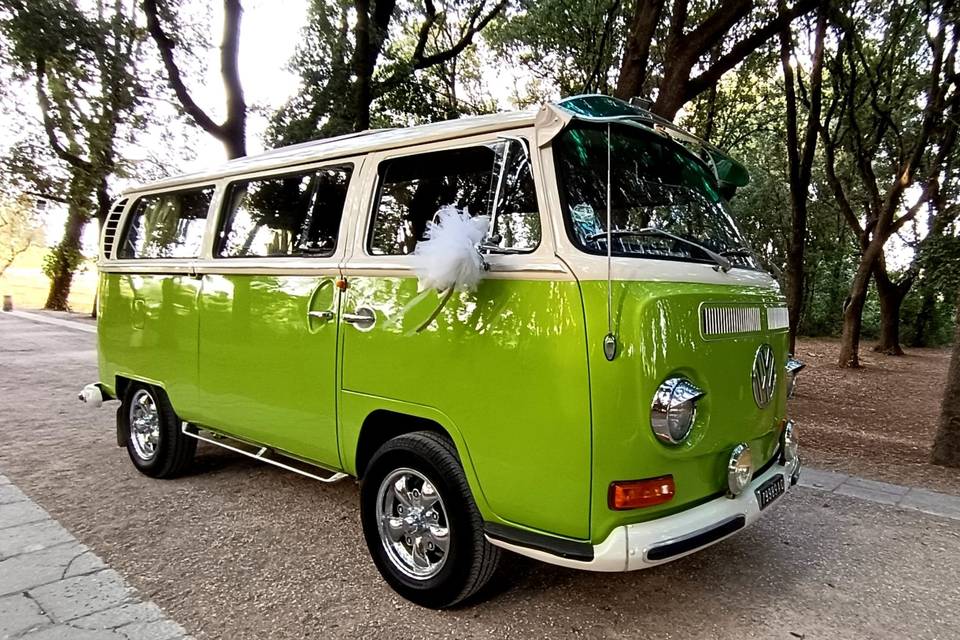 T2 verde