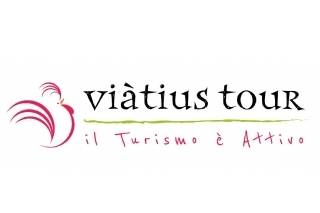 Logo Viatius