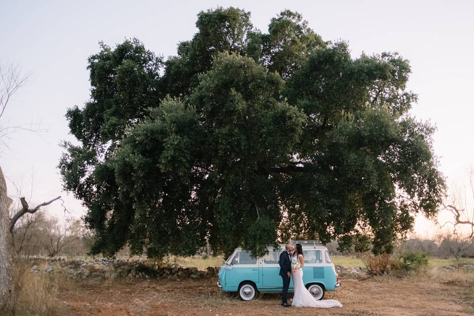 Fiat 850 noleggio auto