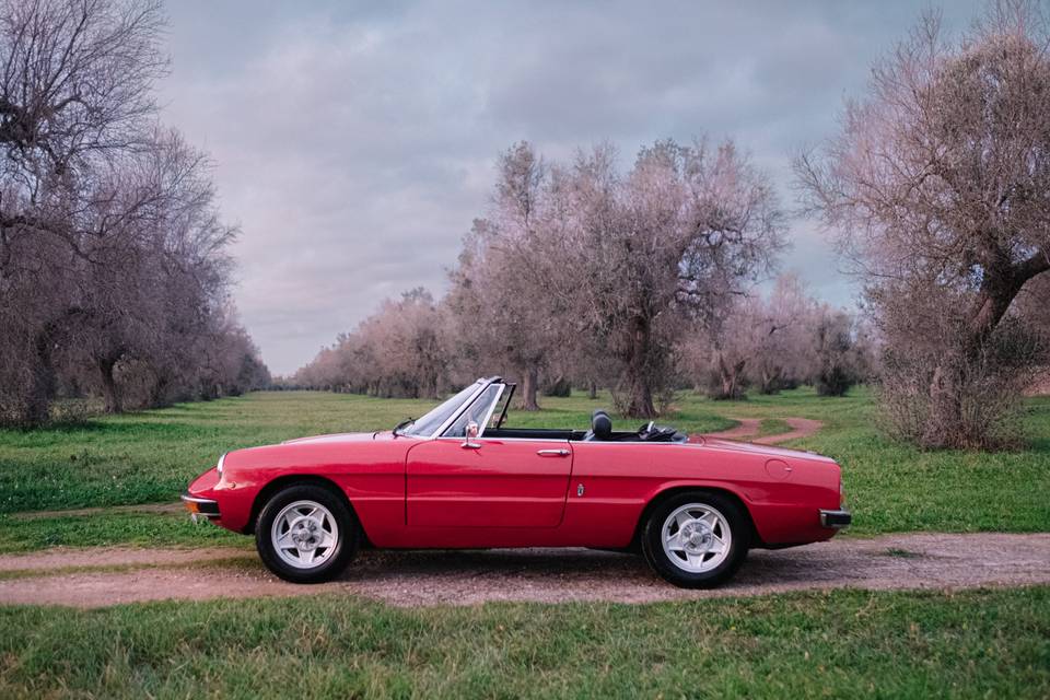 Alfa spider noleggio auto