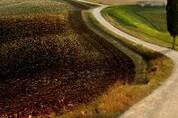 Crete senesi