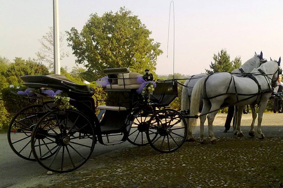 Carrozza Vittoria addobbata