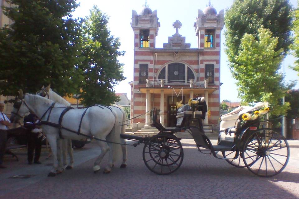 Matrimonio al Valentino To