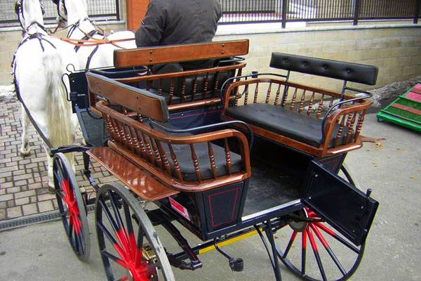 Carrozza Vittoria addobbata