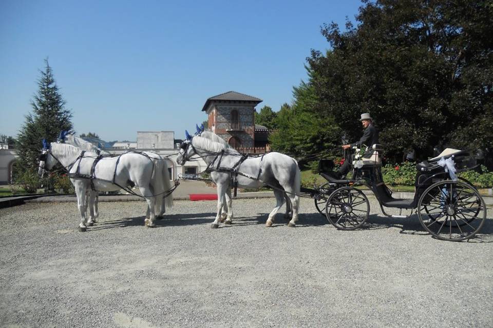 Carrozza Bianca