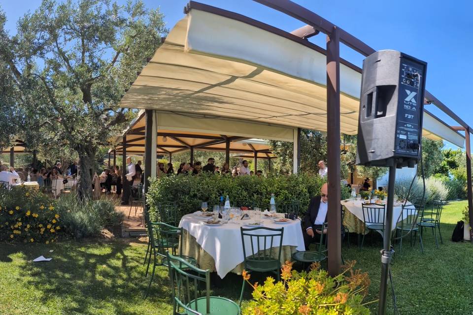 Wedding