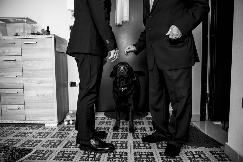 Matrimonio 2023