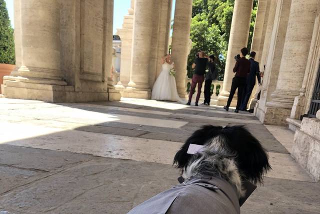 Aspettando di fare le foto
