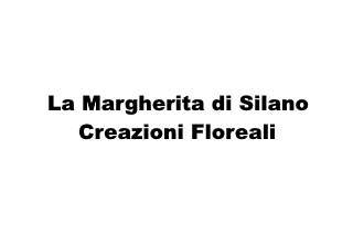 La Margherita di Silano Creazioni Floreali