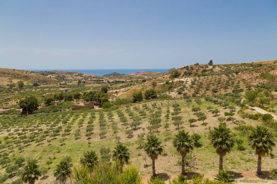 Vista mare