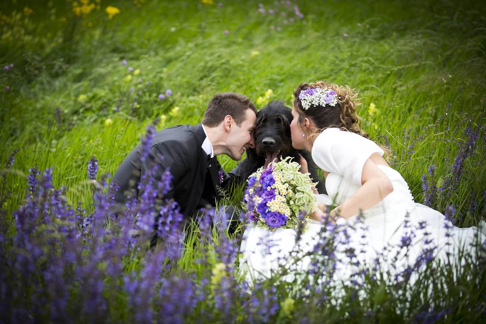 Trintinaglia Wedding Photo