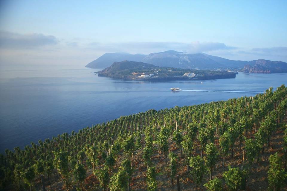 Tenuta di Castellaro