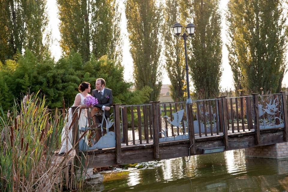 Servizi fotografici Piscina