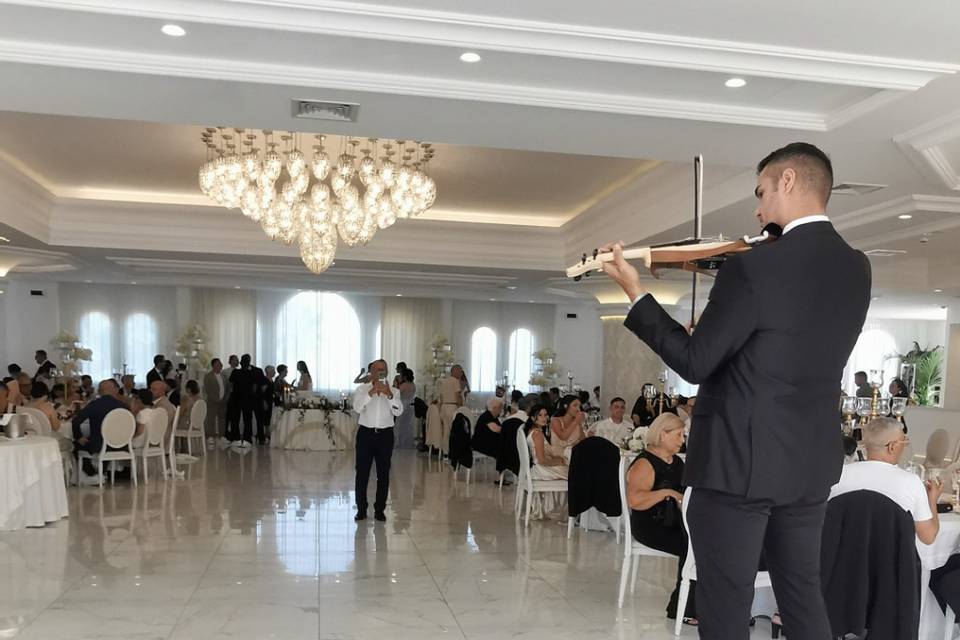 Violino