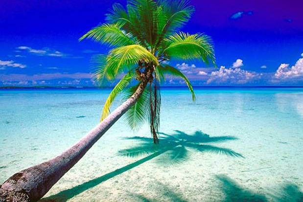 Spiagge paradisiache