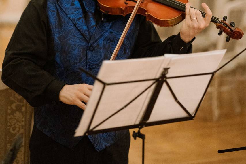 Violinista-corte-dei-papi