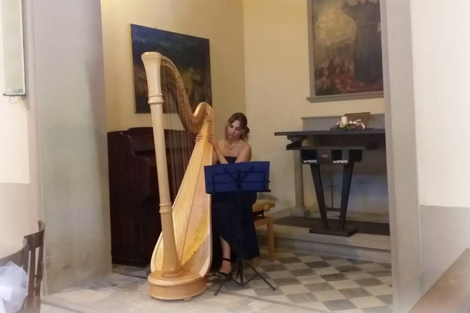 Musica-Nozze-Arpista