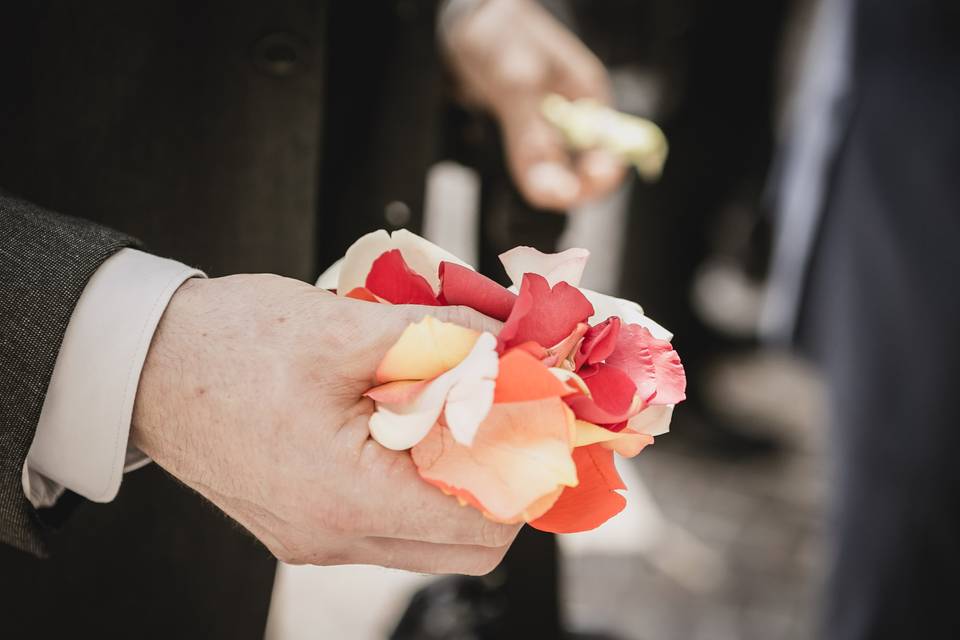 Petali di rosa matrimonio