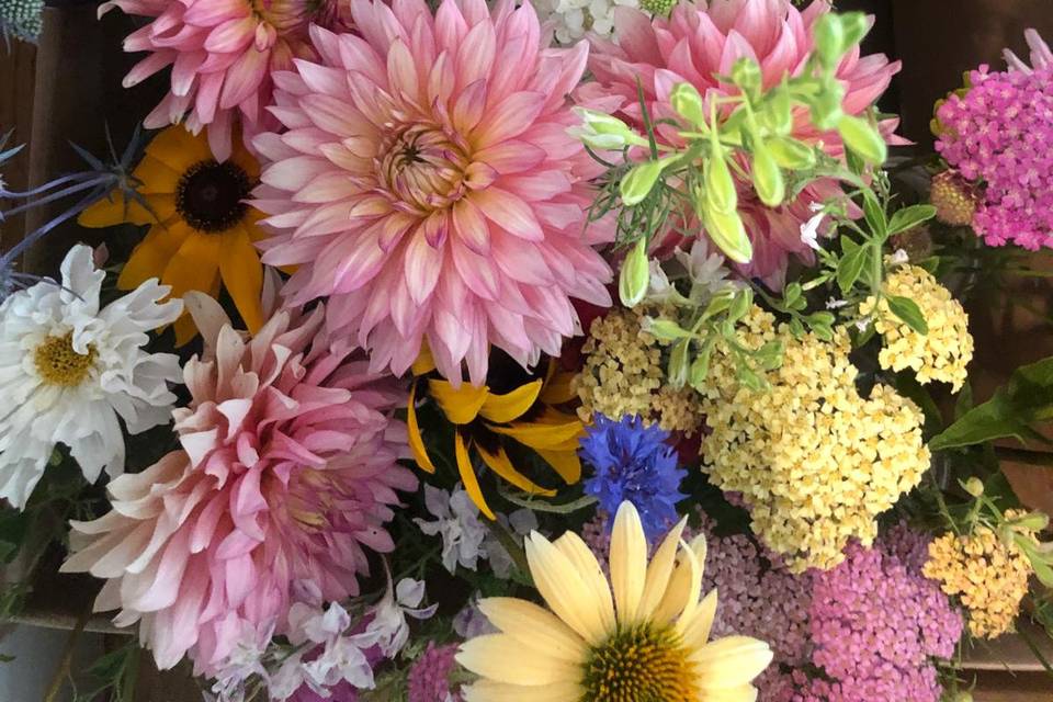 I nostri fiori