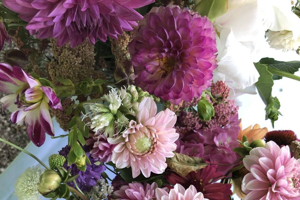 I nostri fiori