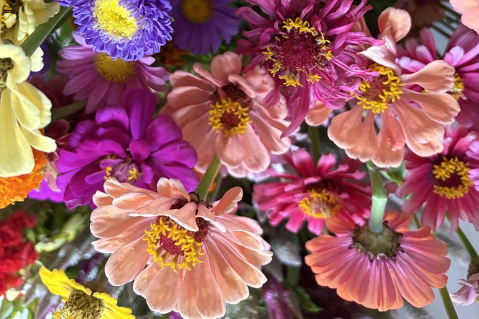 I nostri fiori