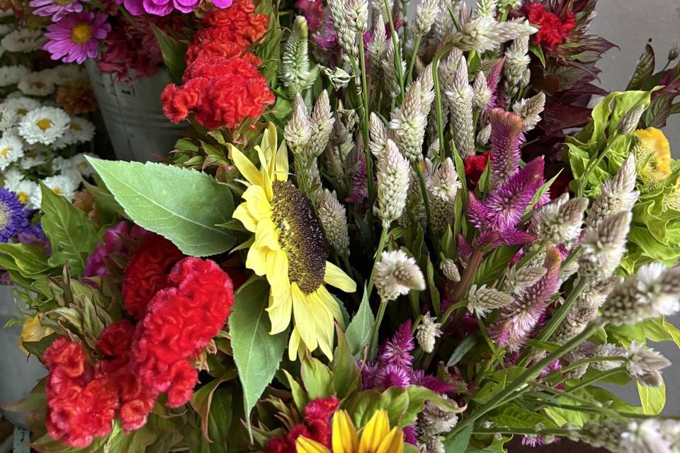 I nostri fiori