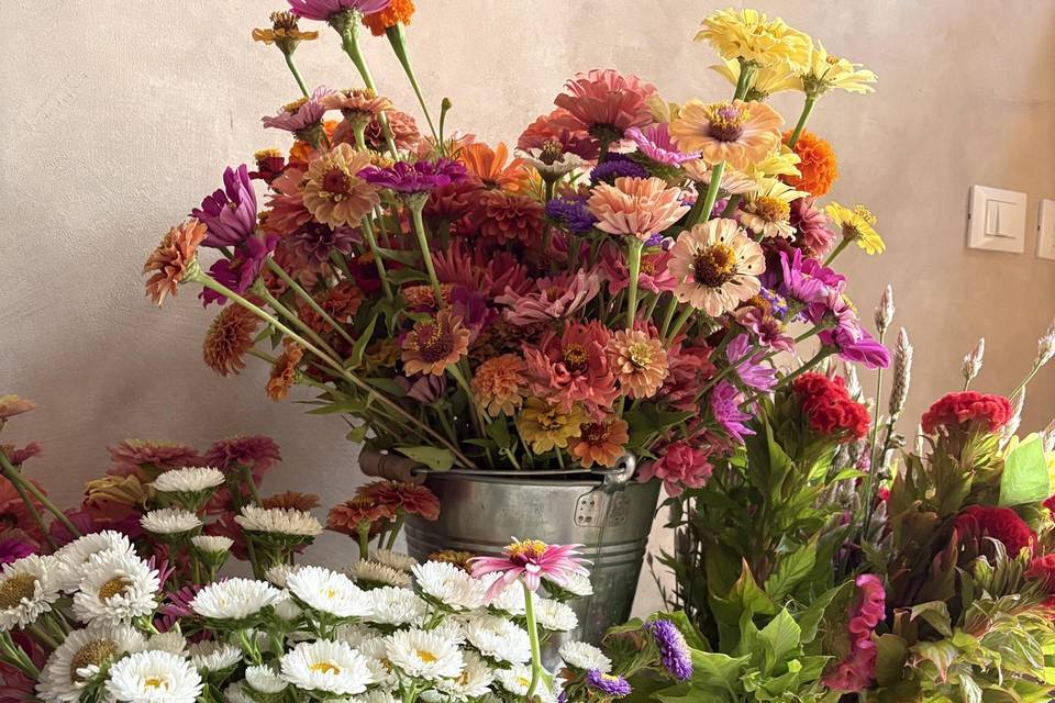 I nostri fiori