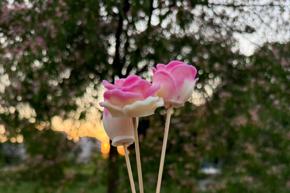 Vasetto con Fiori