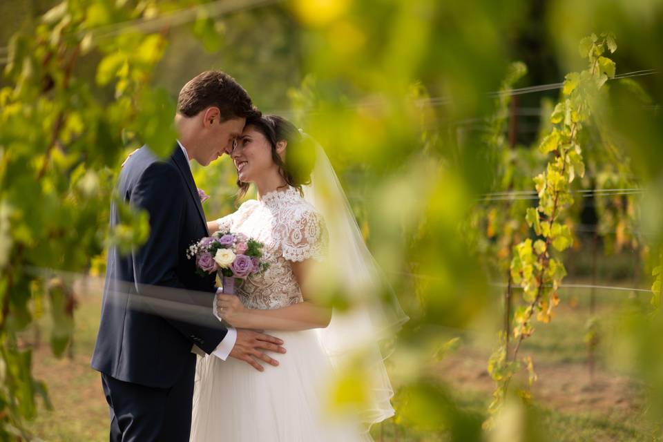 Vigna, La corte e il Sogno, BG