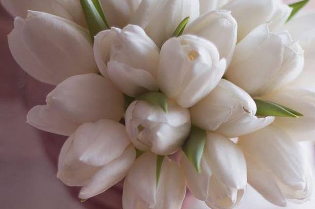 Bouquet tulipani