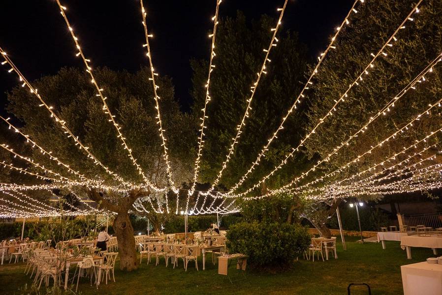 Cena in Parco ulivi