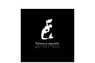 Flamenco Napuleño Guitar Duo logo