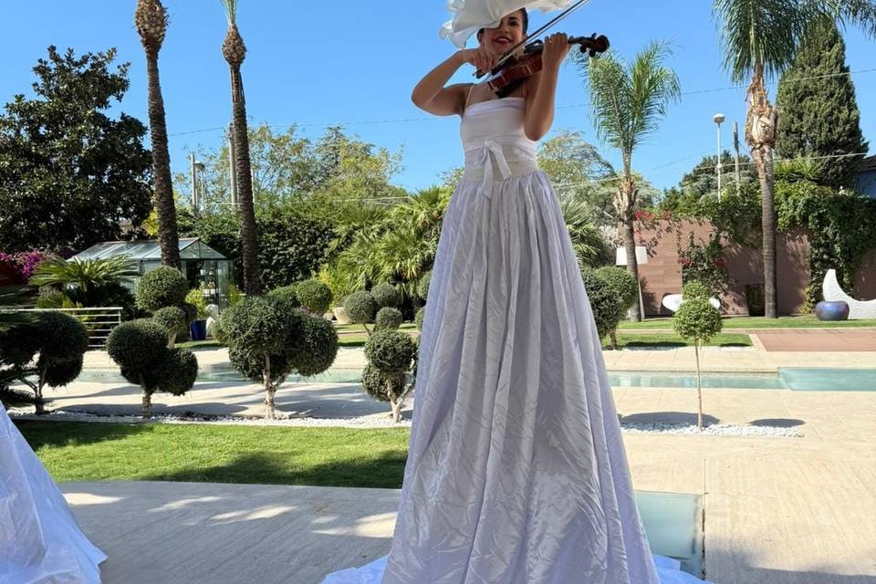 Violin show