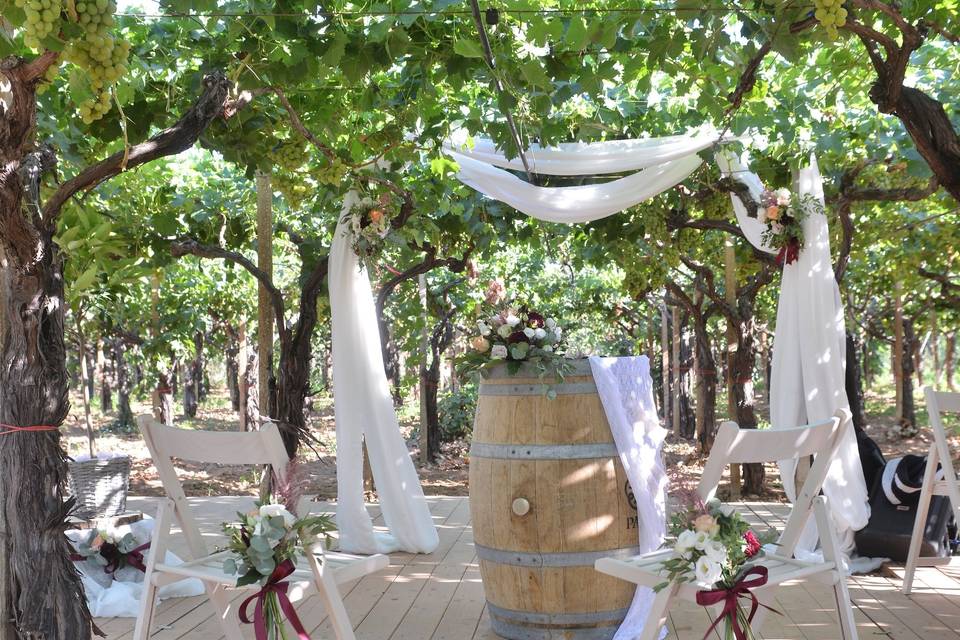 Vineyard wedding