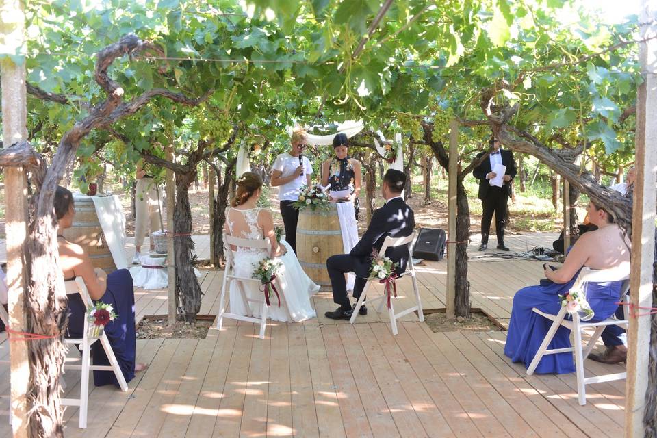 Vineyard wedding