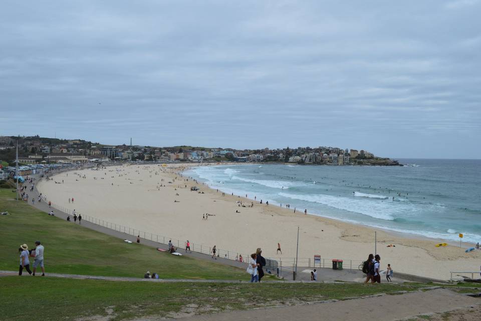 Bondi Beach