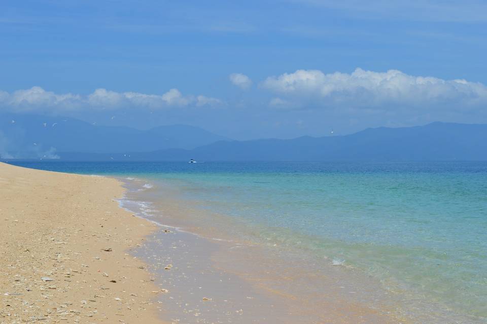 Palm Cove