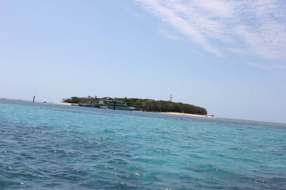 Green island