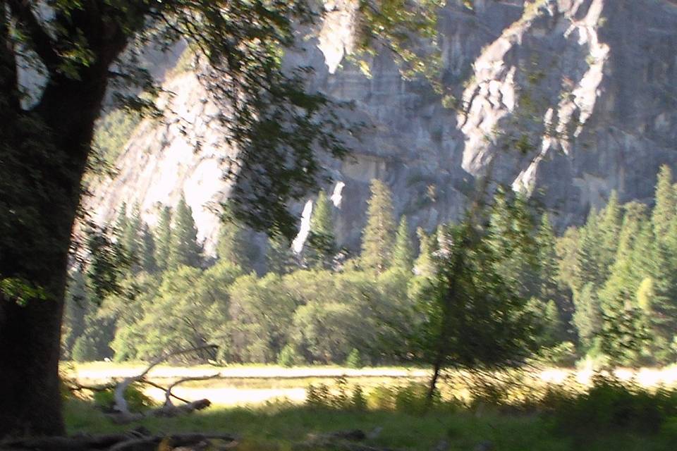 Yosemithe