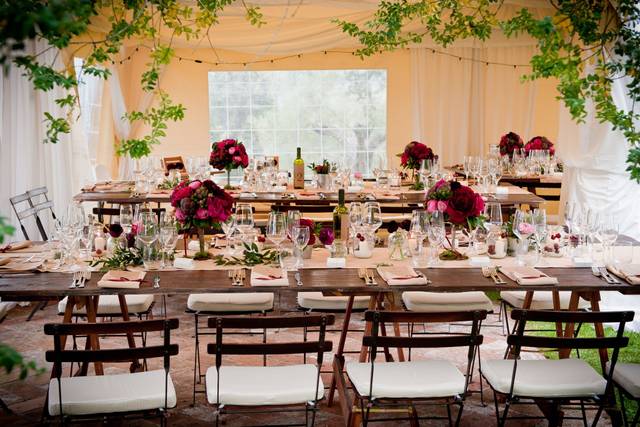 Daniela Colasanto Event & Wedding Planner